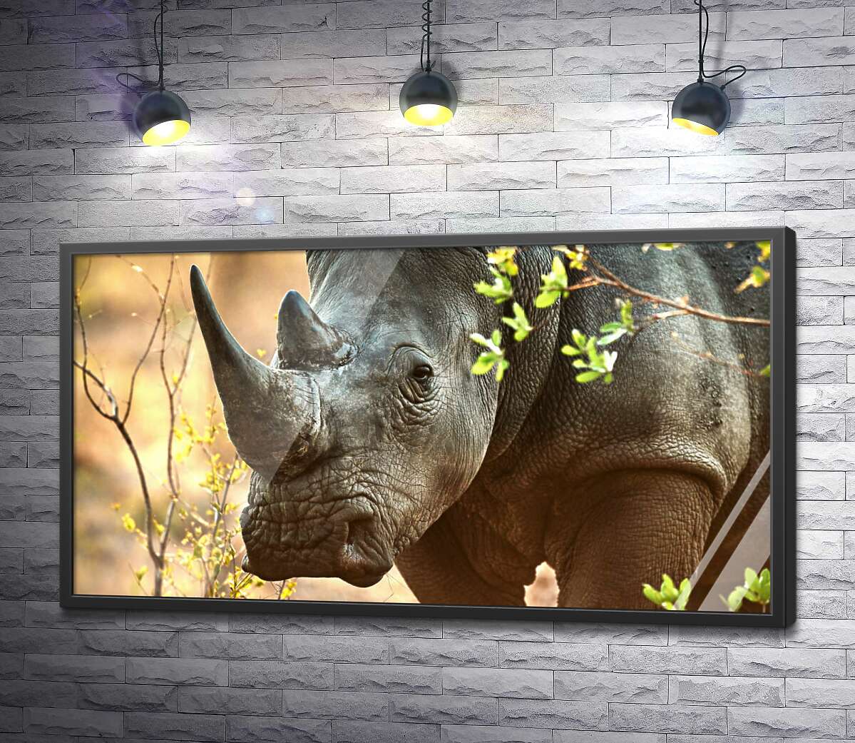 постер Чорний носоріг прогулюється між дерев