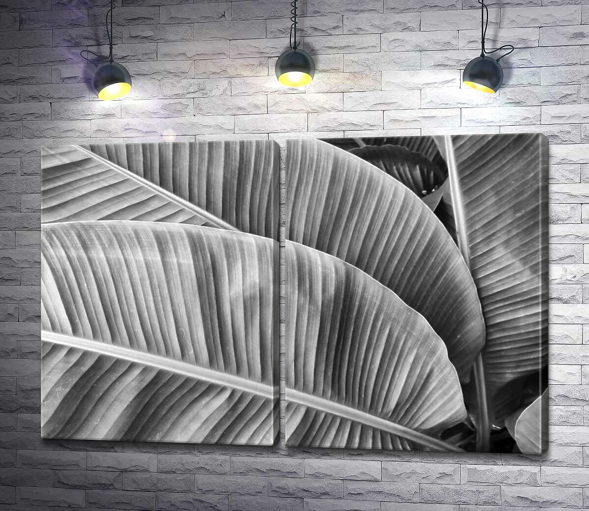 модульная картина Черно-белые оттенки пальмовых листьев