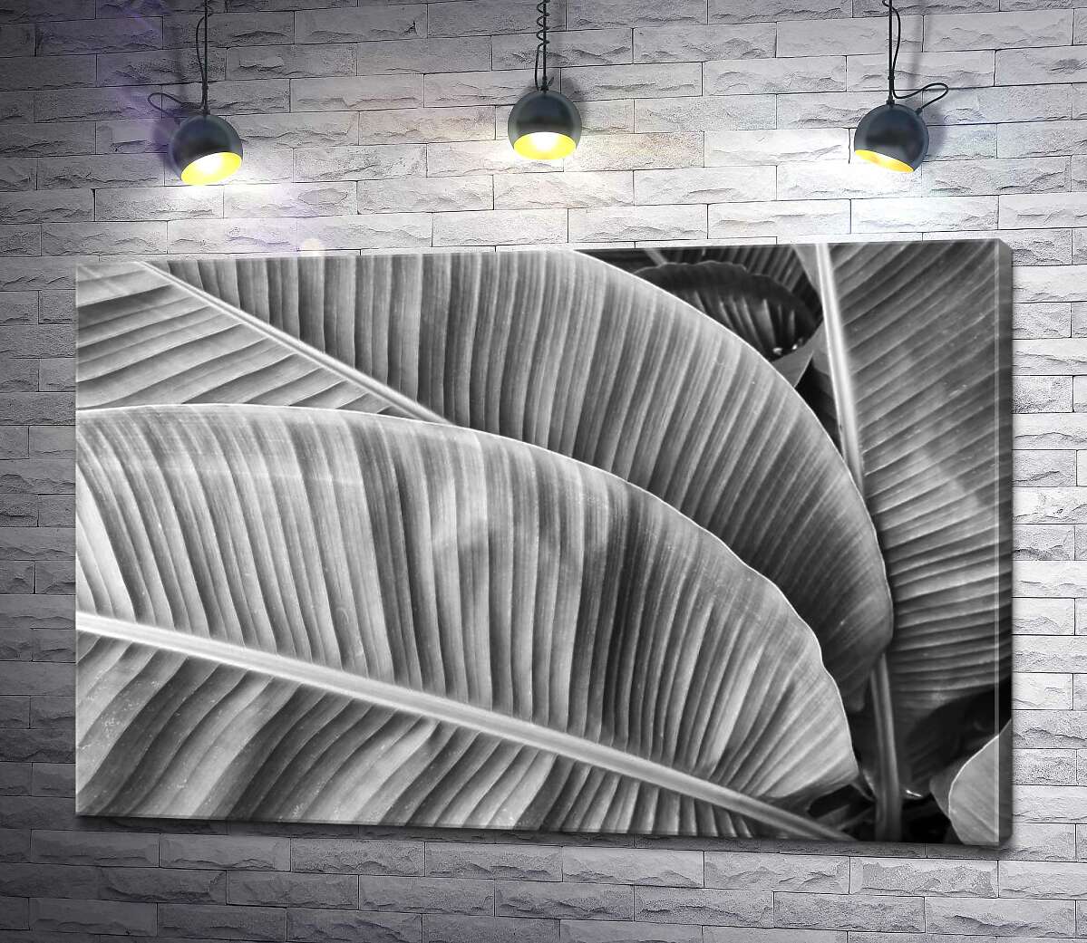 картина Чорно-білі відтінки пальмового листя