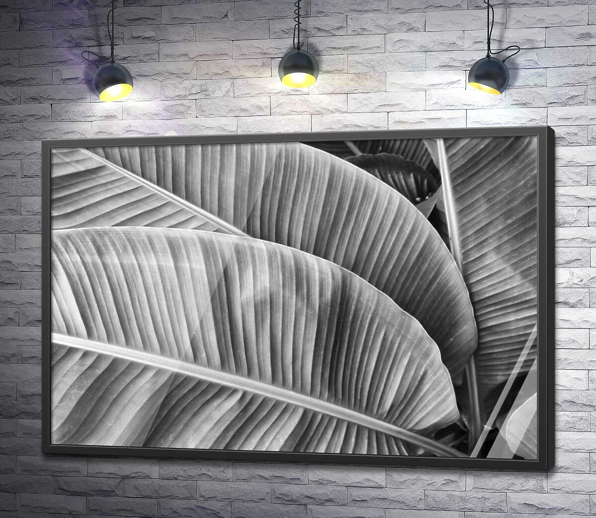 постер Черно-белые оттенки пальмовых листьев