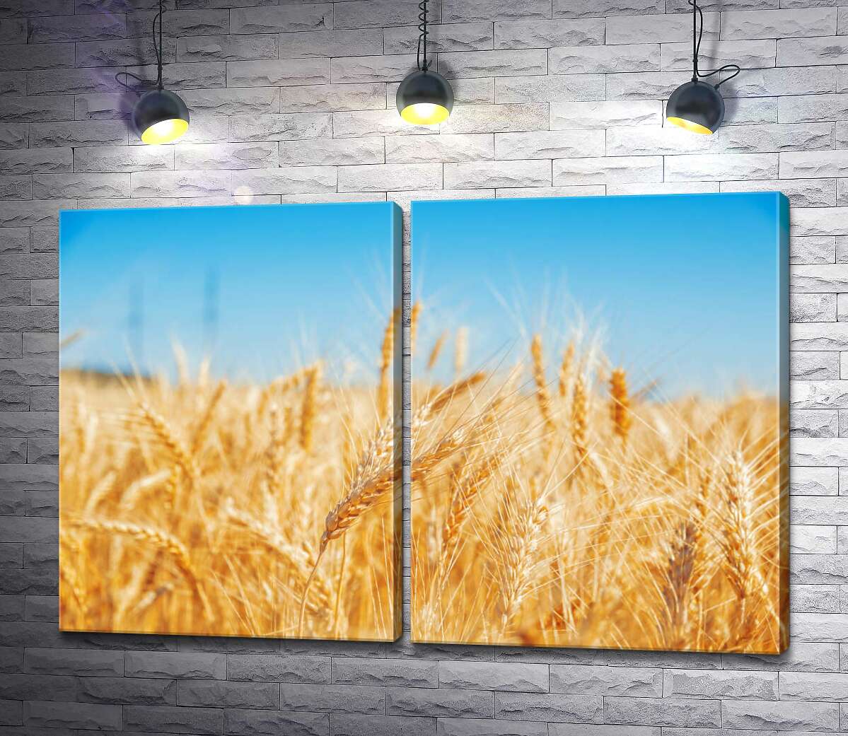 модульная картина Золотая пшеница колосится на солнце