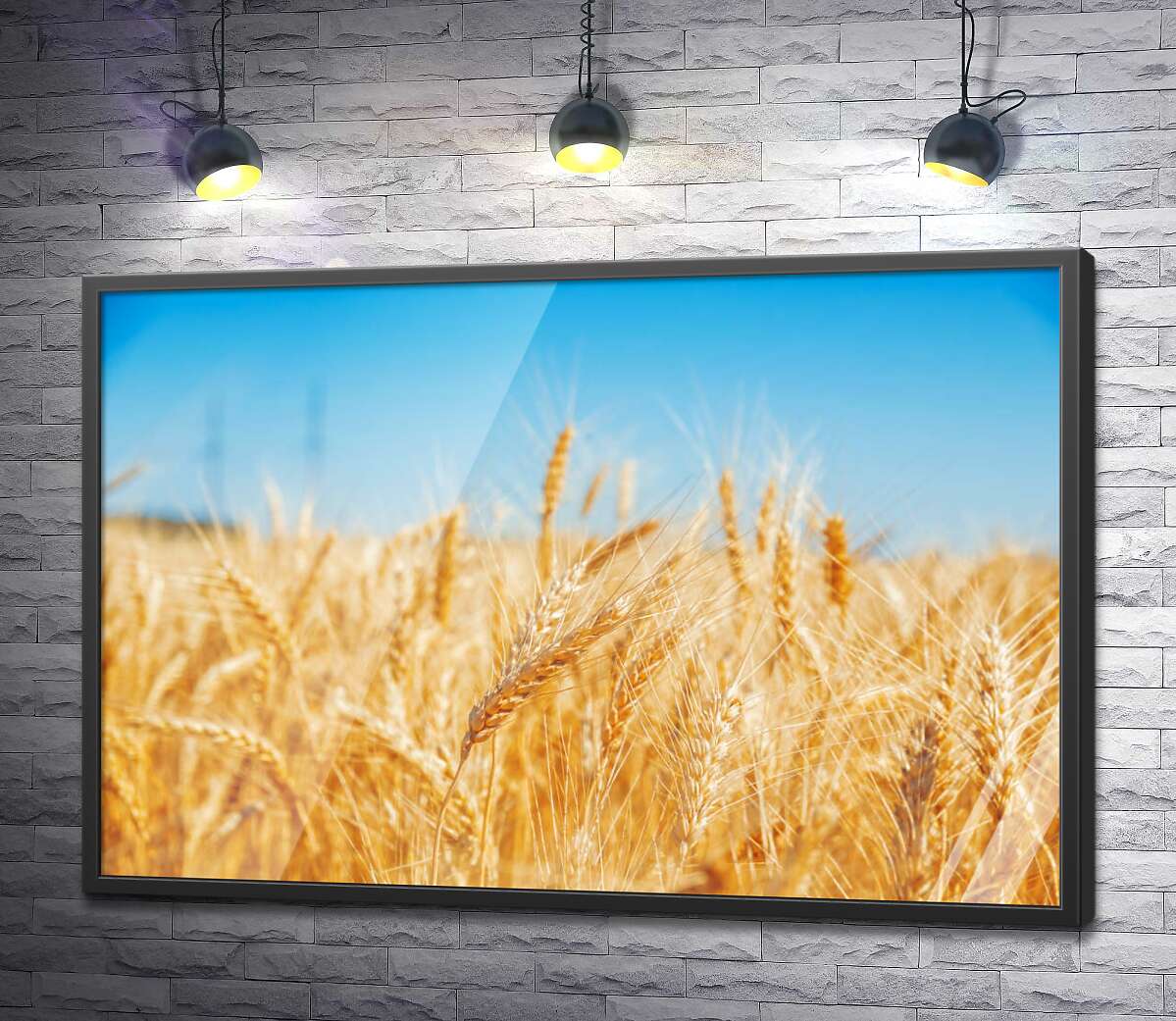 постер Золотая пшеница колосится на солнце