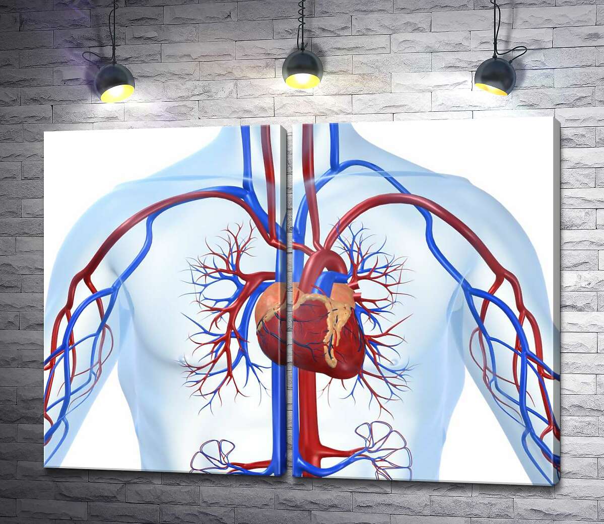 модульная картина Сердце в центре кровеносной системы человека