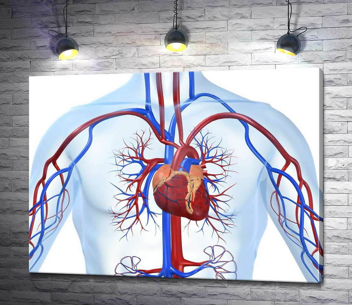 картина Сердце в центре кровеносной системы человека