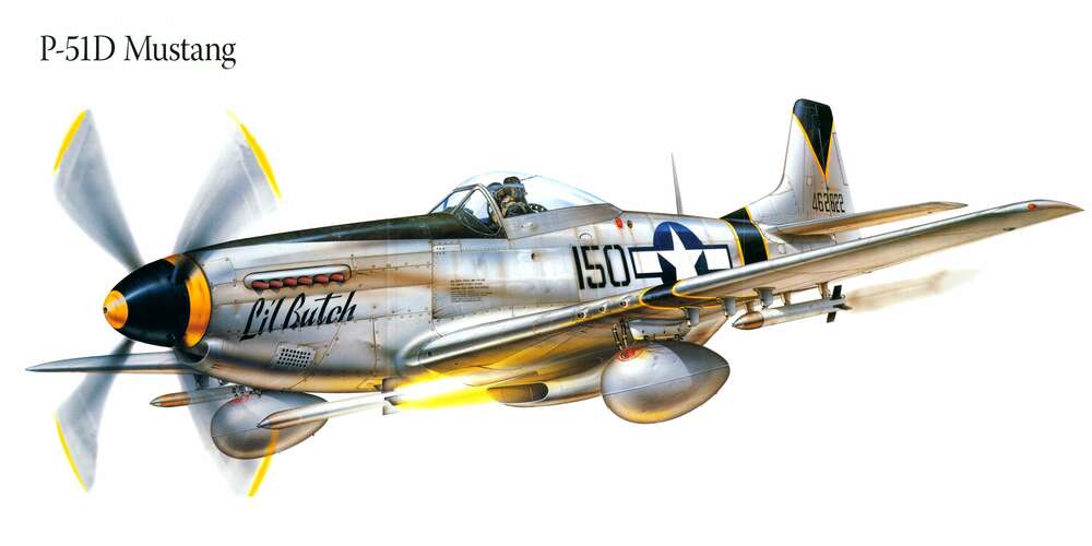 картина-постер Американский истребитель North American P-51 Mustang