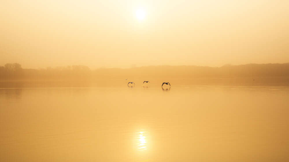 картина-постер Помаранчеві відтінки туманного озера