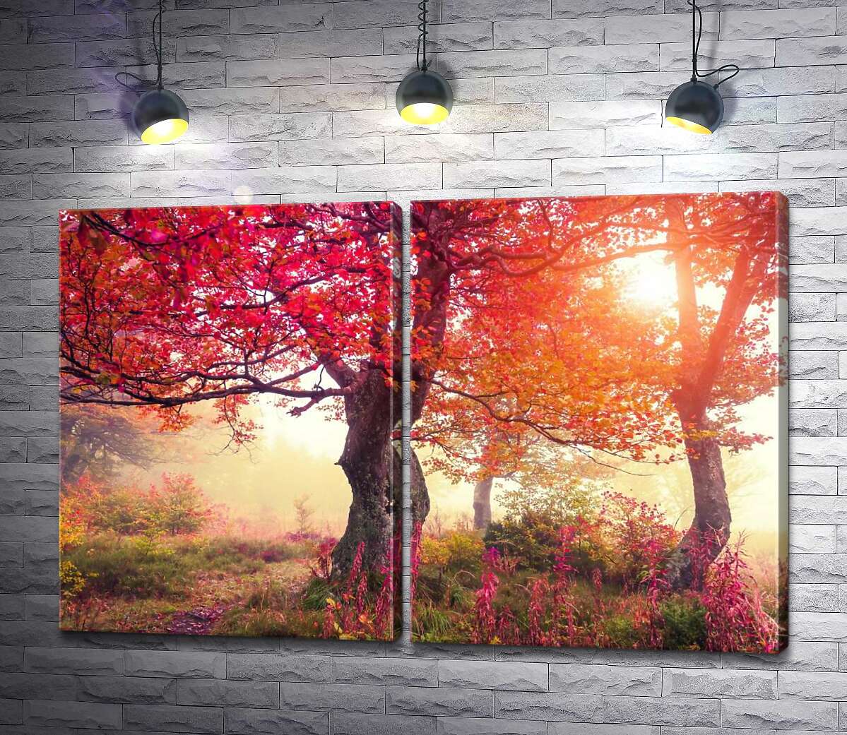 модульна картина Сонячне світло підкреслює червоне полум'я листя на деревах