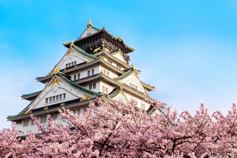 картина-постер Японский замок Осака (Osaka) в объятиях цветущих сакур