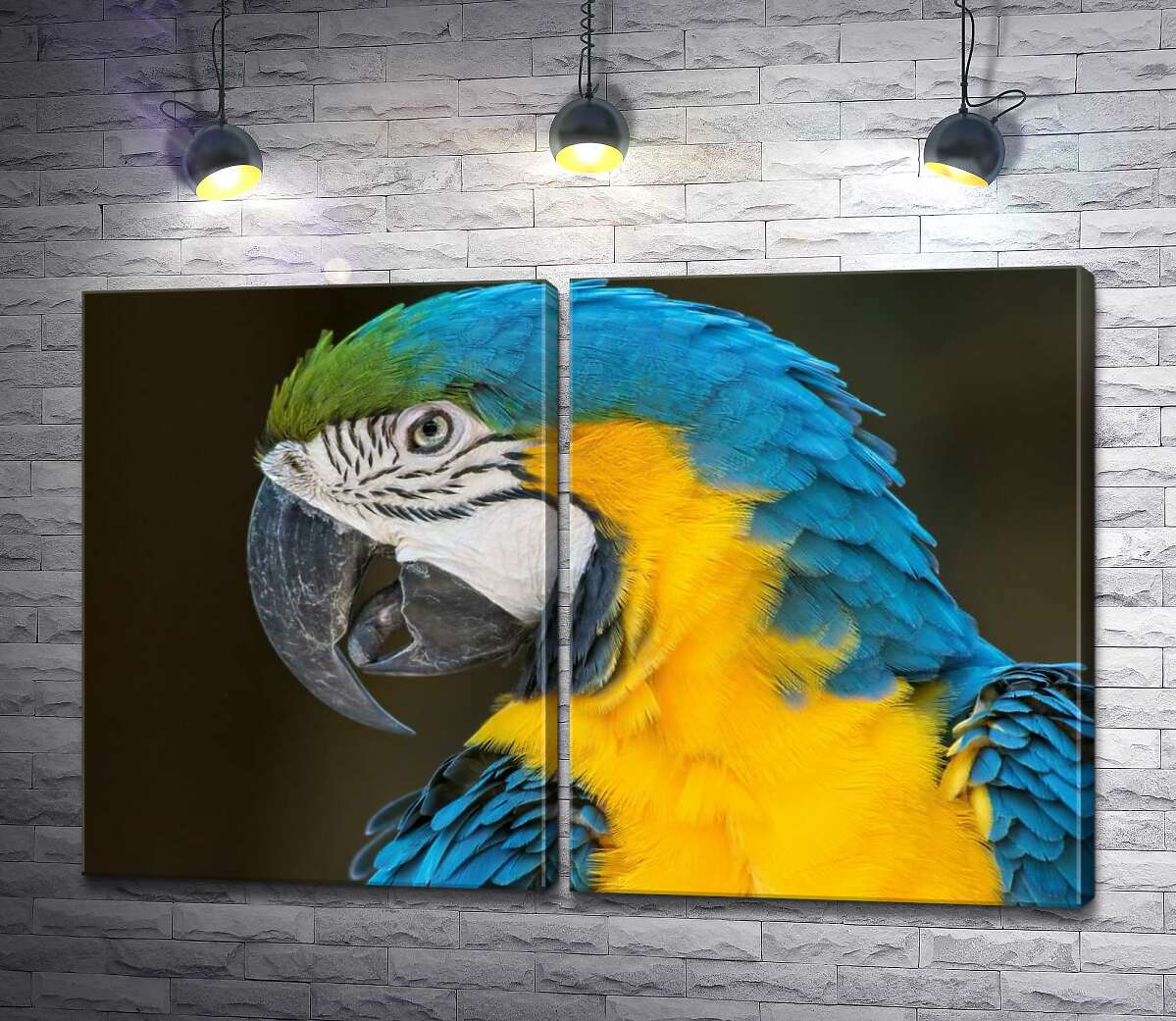 модульная картина Голубовато-желтый профиль попугая ара