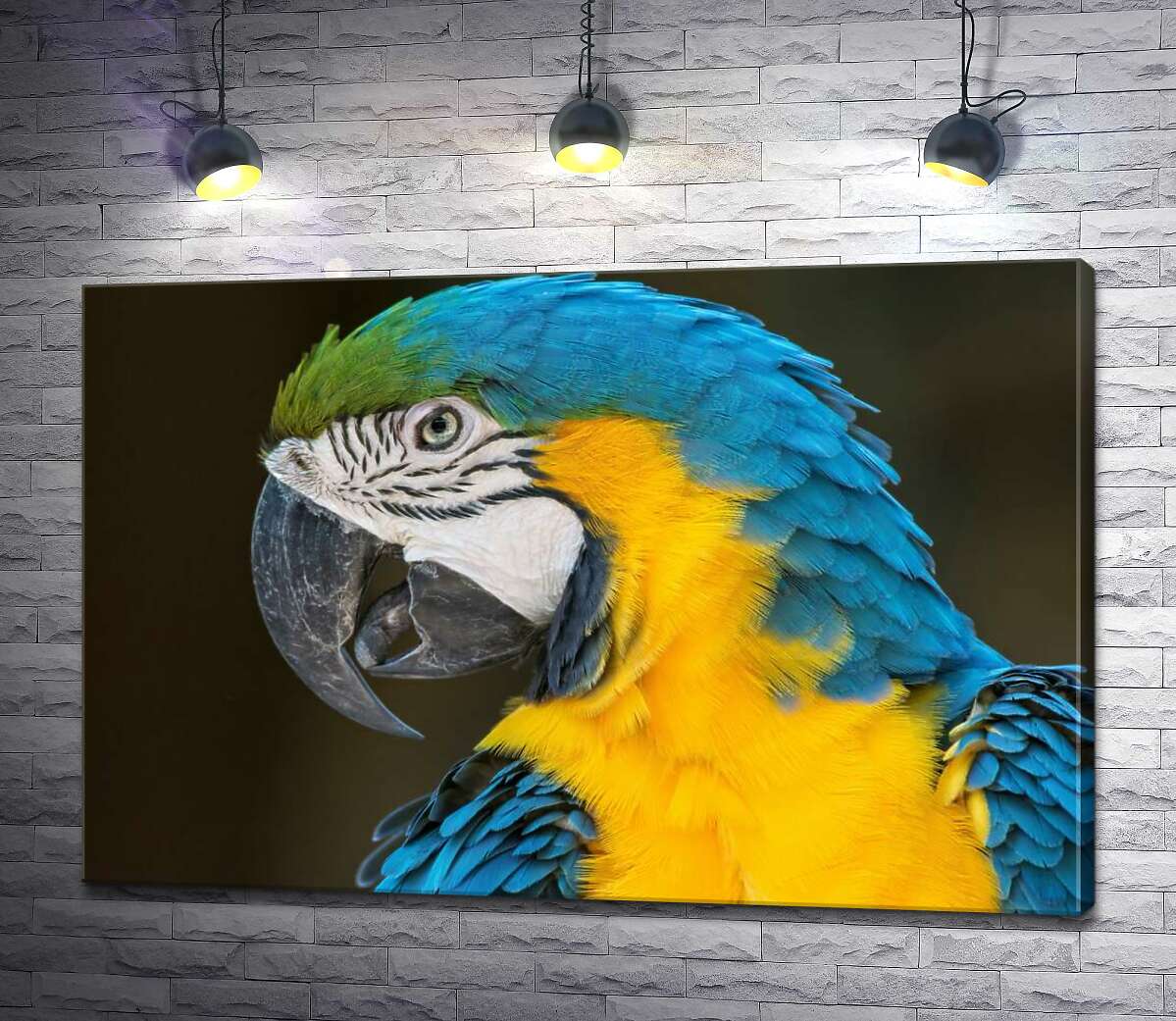 картина Блакитно-жовтий профіль папуги ара