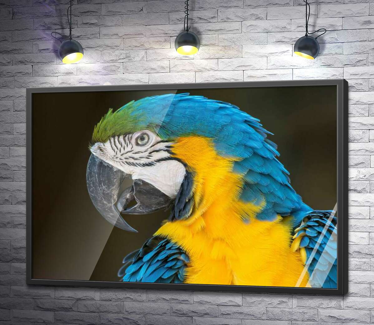 постер Голубовато-желтый профиль попугая ара