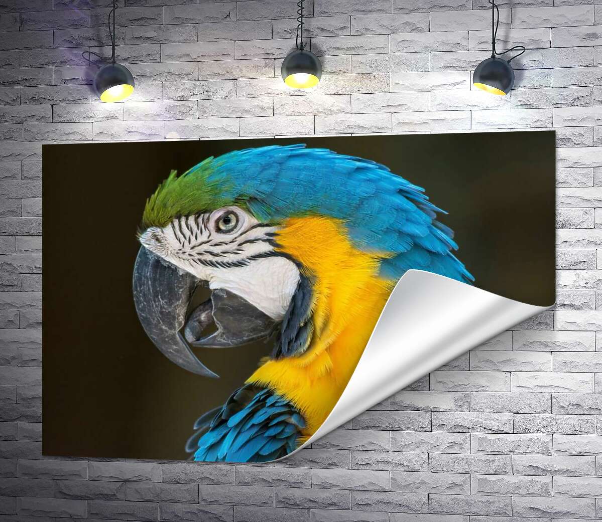 печать Голубовато-желтый профиль попугая ара