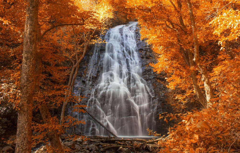 картина-постер Золото осенних деревьев окутало водопад