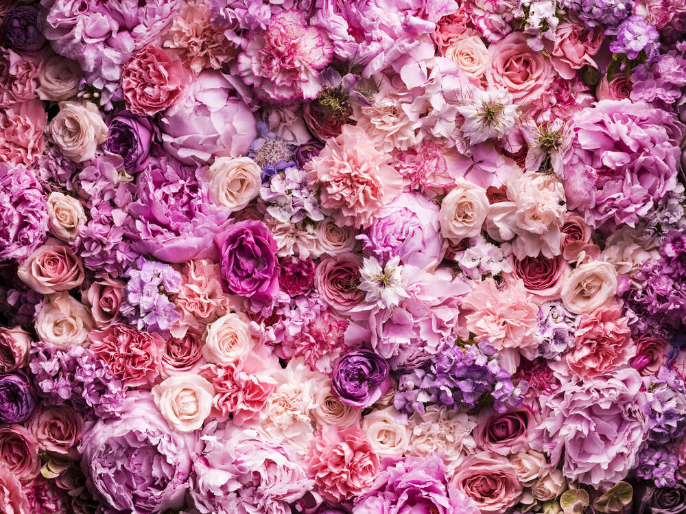 картина-постер Розовый ковер из разнообразия цветов