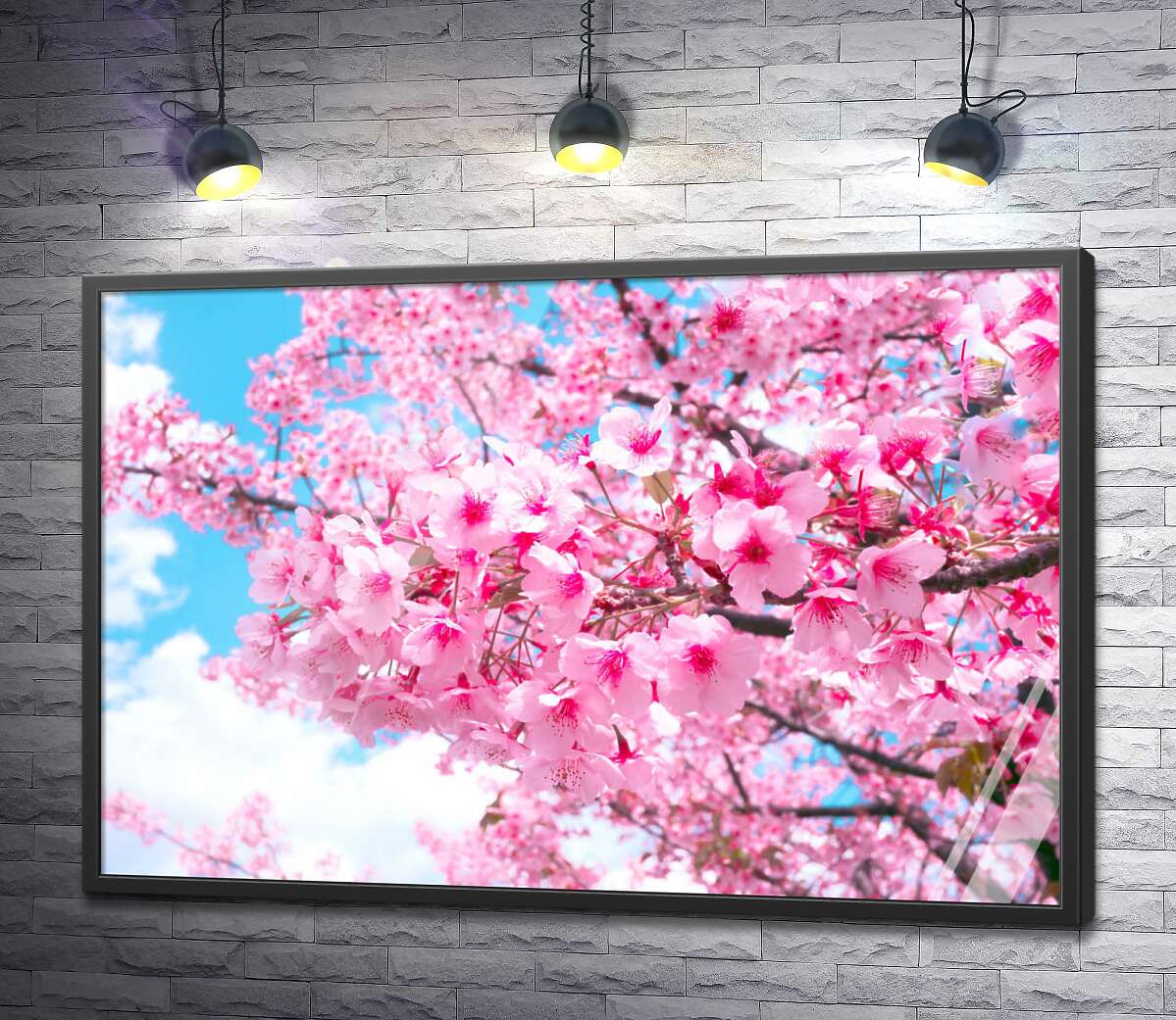 постер Розовое цветение дерева весной