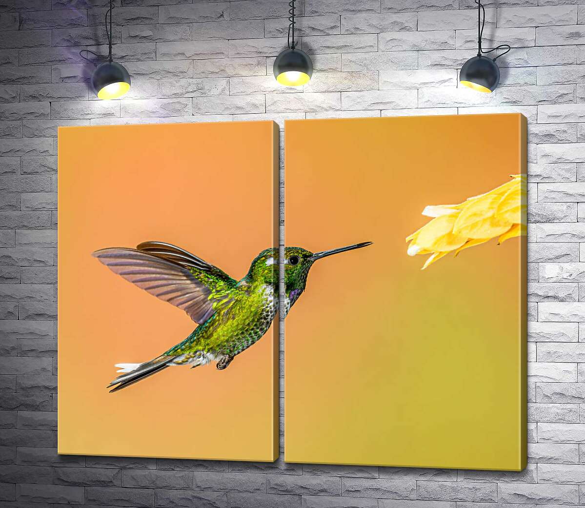 модульная картина Изумрудный колибри летит к цветку