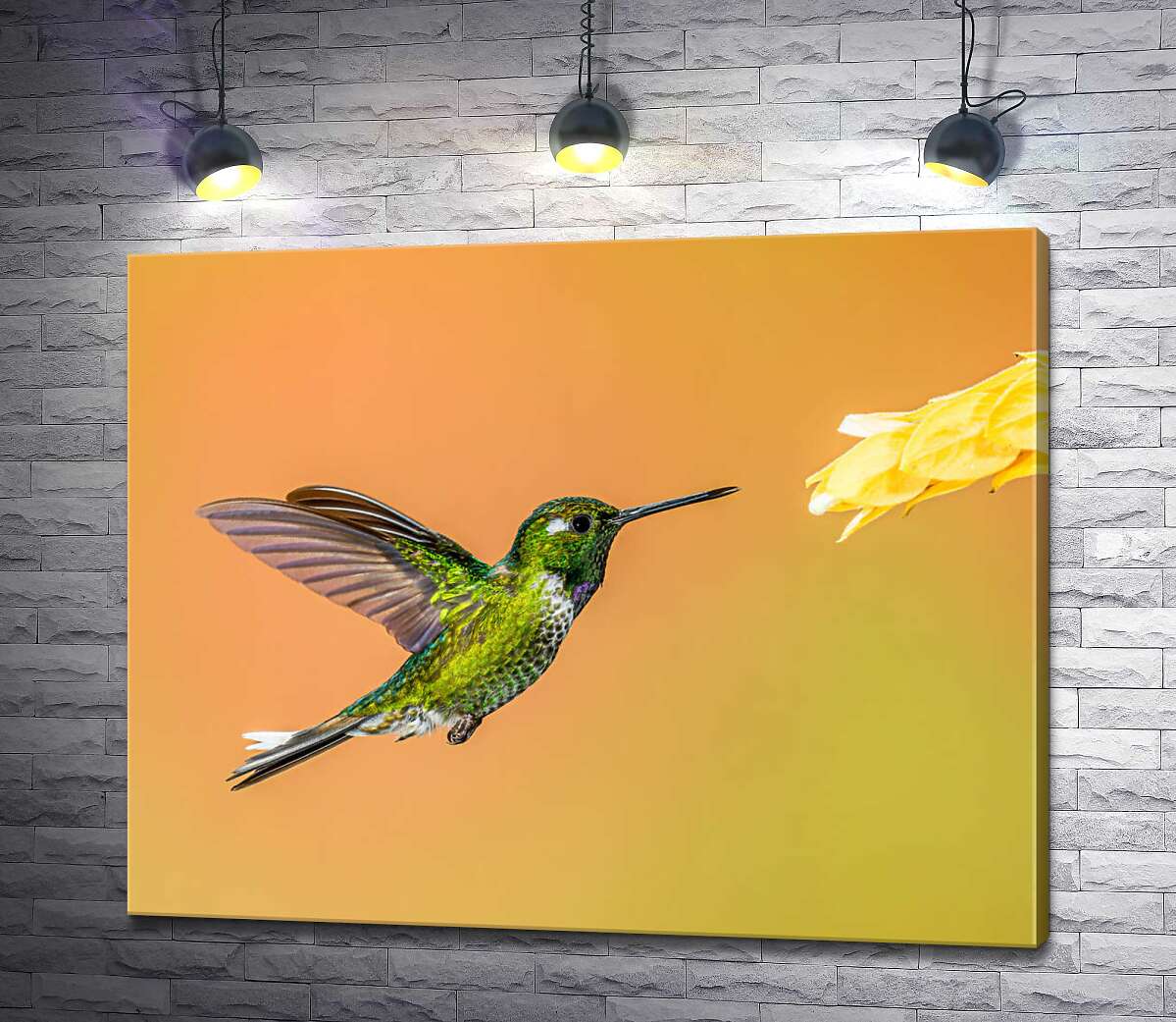 картина Изумрудный колибри летит к цветку