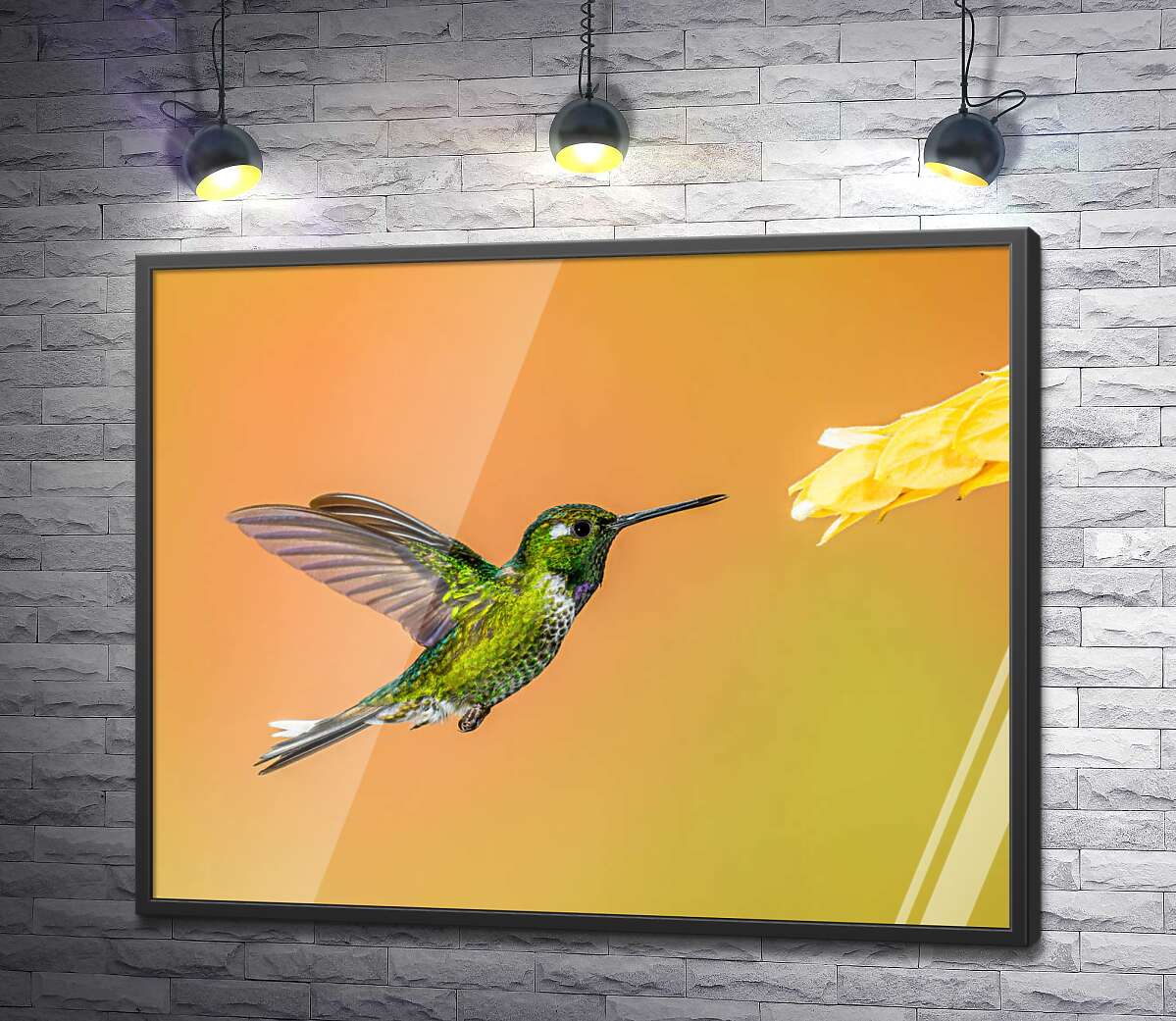 постер Изумрудный колибри летит к цветку