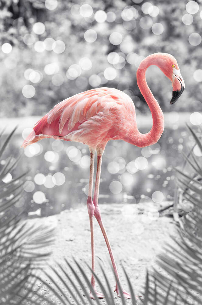 картина-постер Розовое вкрапление нежности в силуэте фламинго