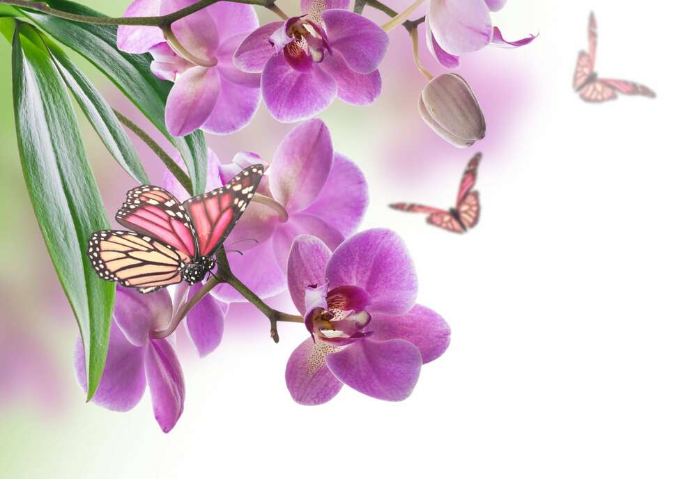 картина-постер Сиреневые орхидеи в окружении ажурных силуэтов бабочек