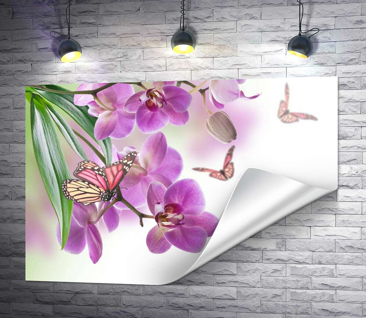 друк Бузкові орхідеї в оточенні ажурних силуетів метеликів