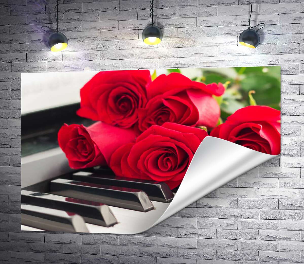 друк Ніжні пелюстки троянд торкаються мелодійних клавіш білого фортепіано