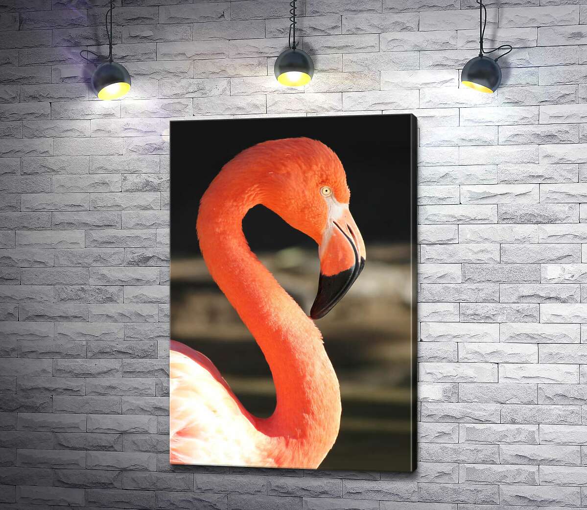 картина Персиковый цвет силуэта грациозного фламинго