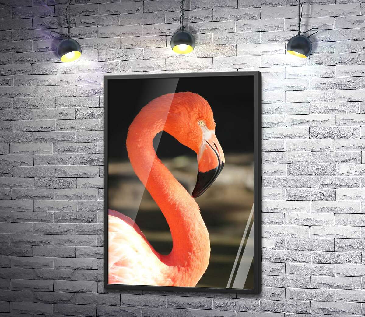 постер Персиковый цвет силуэта грациозного фламинго