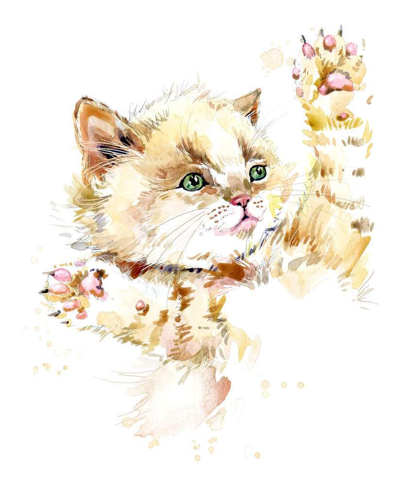 картина-постер Рыжий котенок играет пушистыми лапками