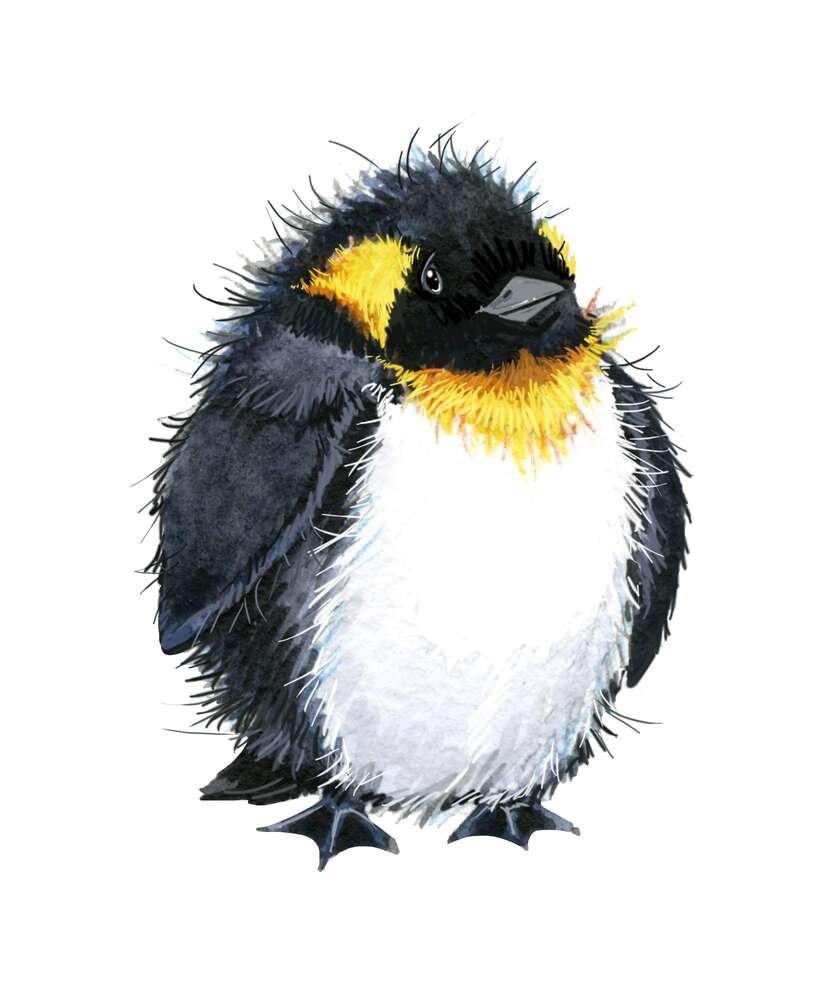 картина-постер Товстенький пінгвін із жовтою шиєю