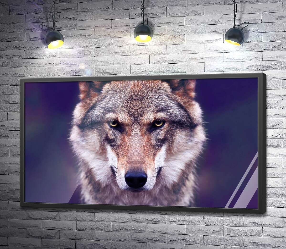 постер Суровый взгляд волка