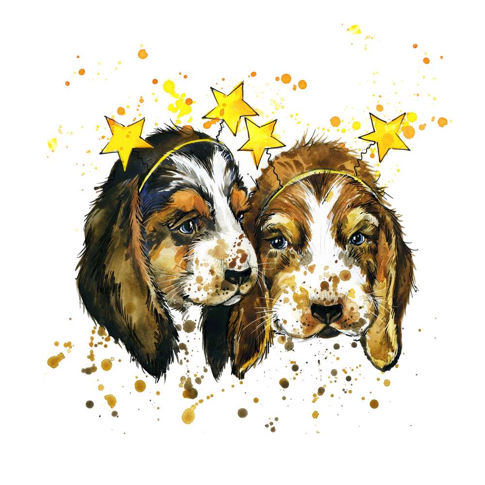 картина-постер Двое щенков биглей в обручах-звездочках