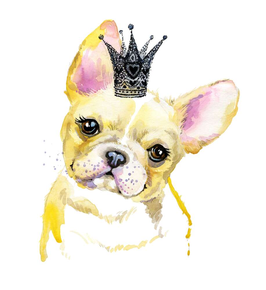 картина-постер Милая мордашка французского бульдога с ажурной короной на голове