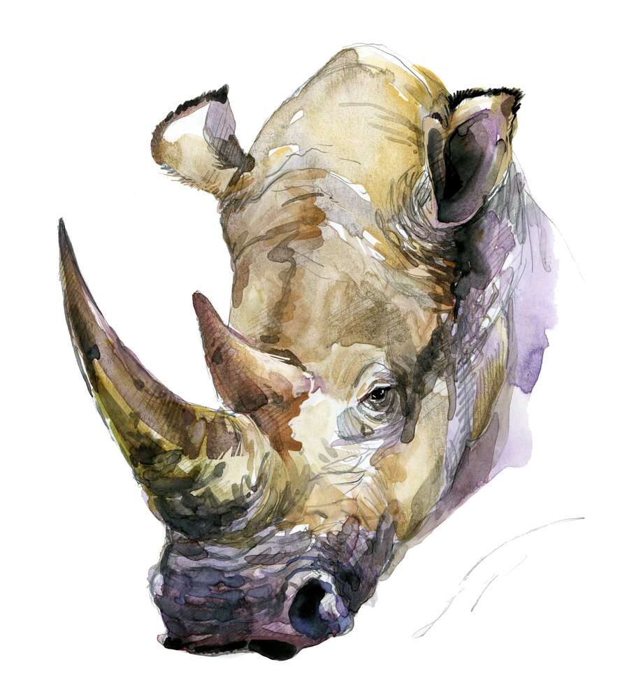 картина-постер Могучие рога в силуэте носорога
