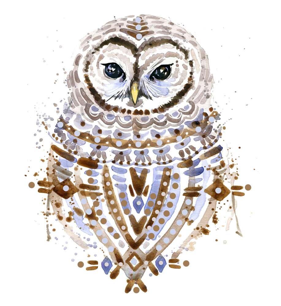 картина-постер Орнамент на пір'ї сови