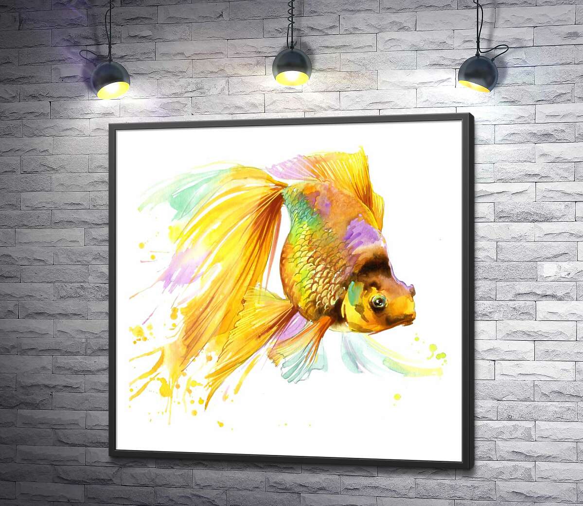 постер Цветной блеск чешуи золотой рыбки