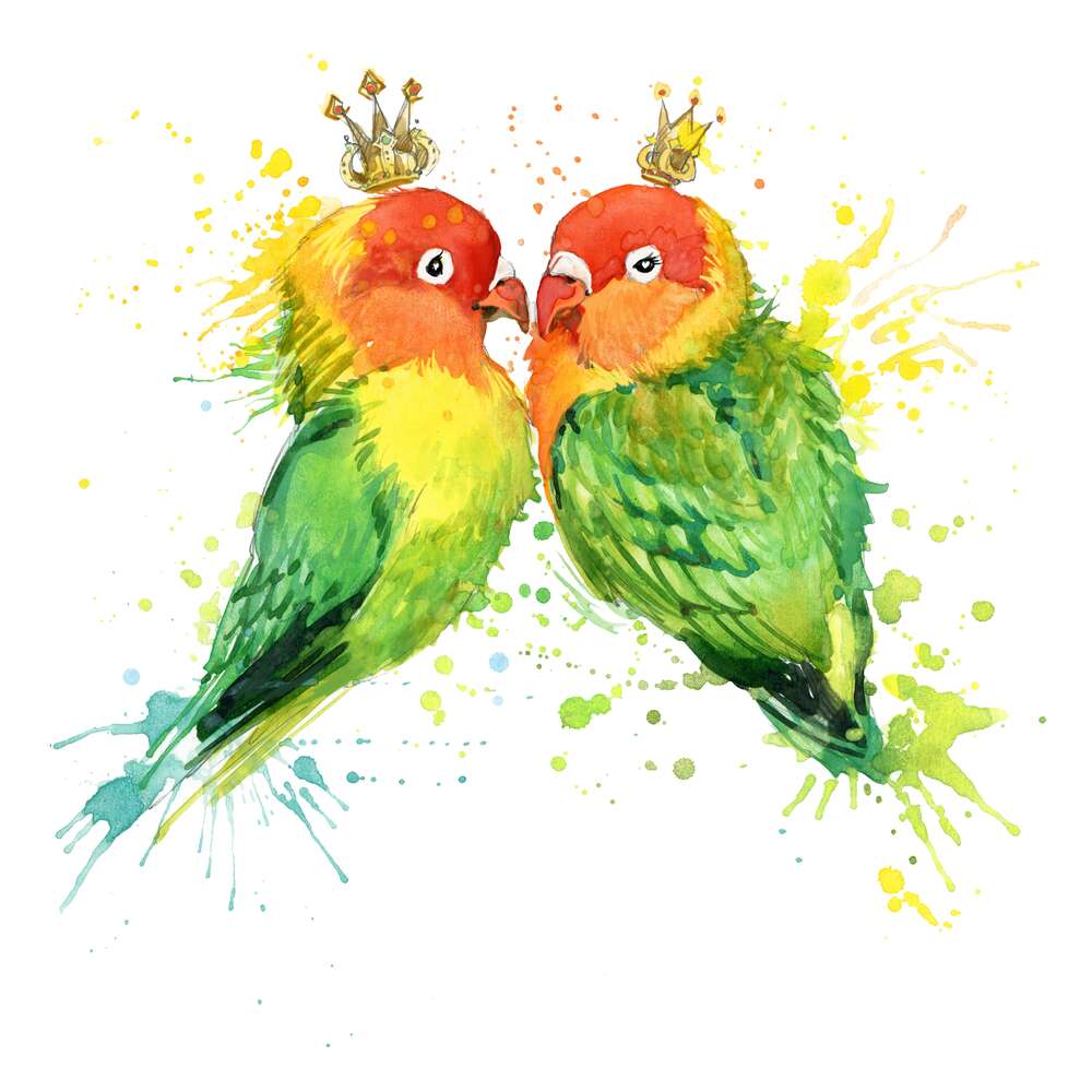 картина-постер Королевская пара попугаев неразлучников