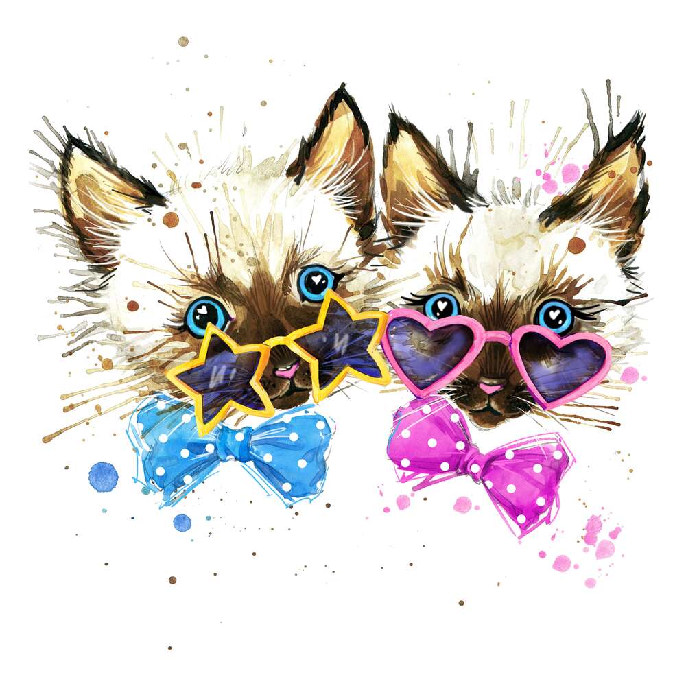 картина-постер Сіамські кошенята в окулярах та з метеликами