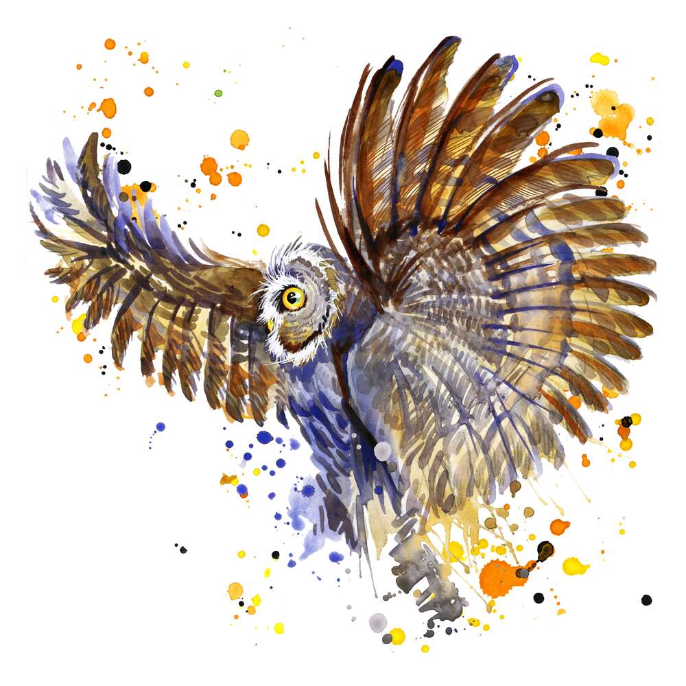 картина-постер Сова в полете раскрывает пышные веера крыльев