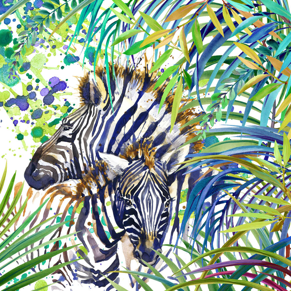 картина-постер Полосатые зебры спрятались среди джунглей