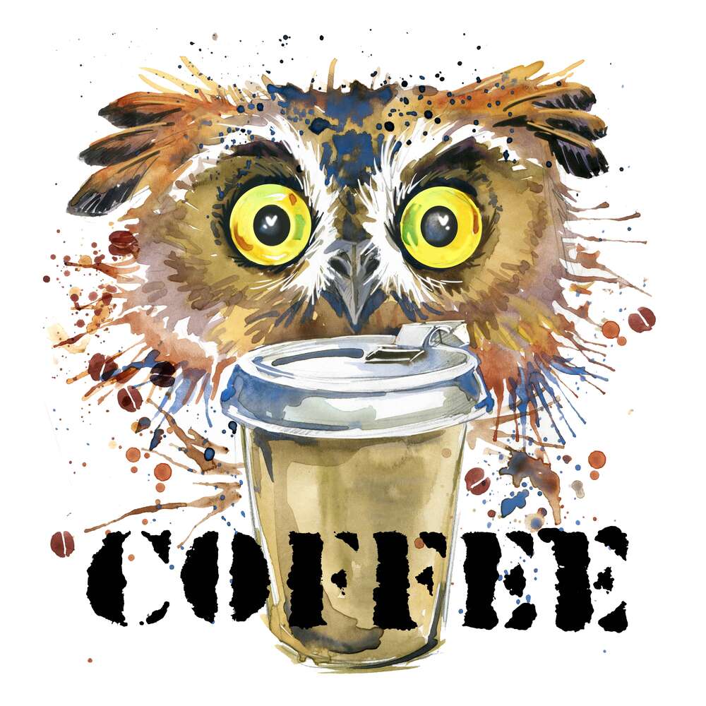 картина-постер Желтоглазой сове необходимо кофе