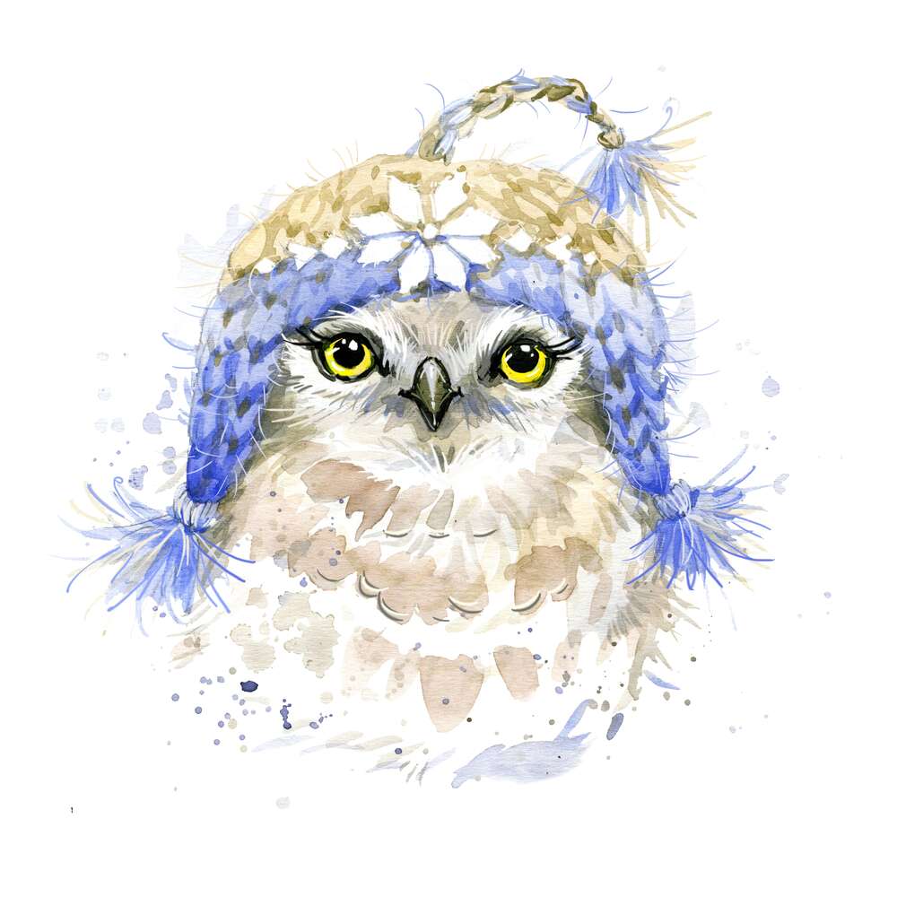 картина-постер Маленькая сова в вязаной голубой шапке
