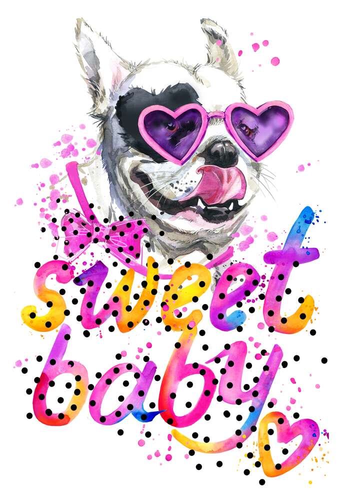 картина-постер Белая собака с надписью "sweet baby"