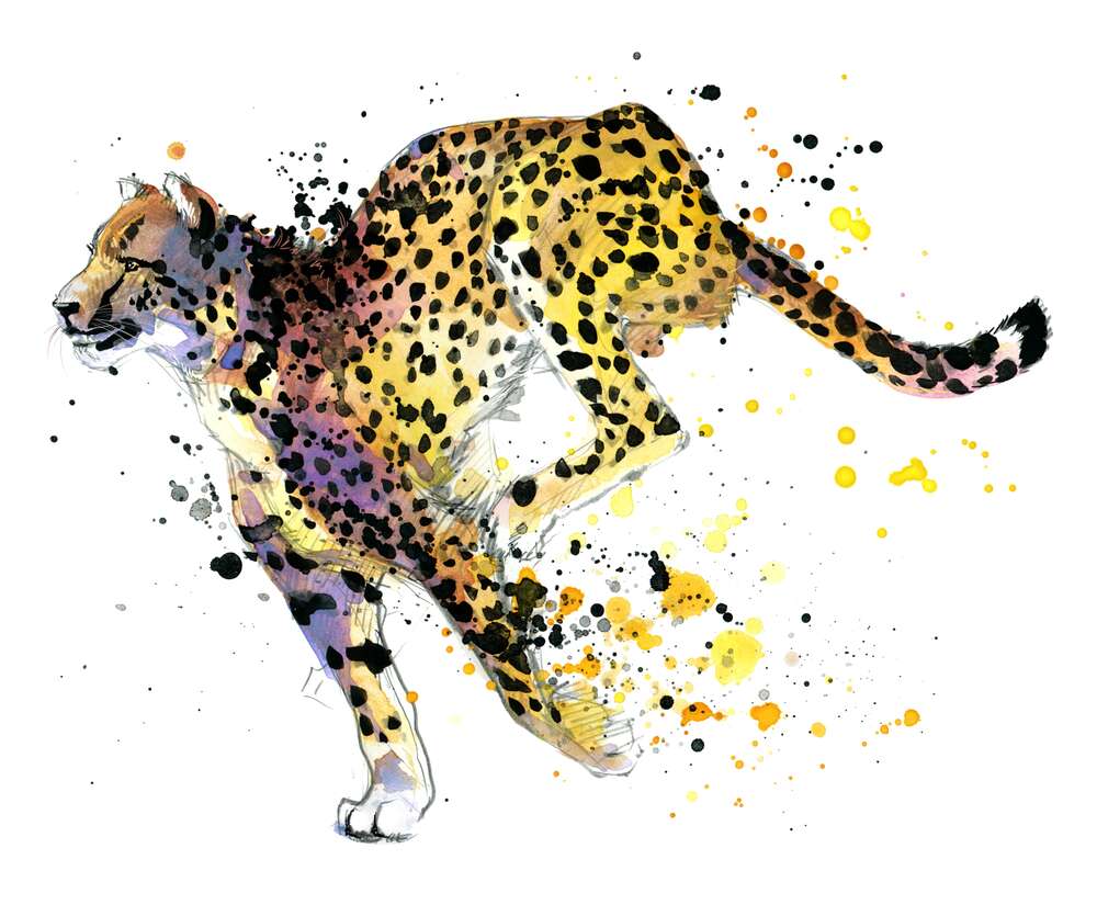 картина-постер Пятнистый гепард в движении