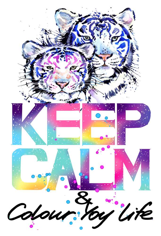 картина-постер Білі тигри під написом "keep calm and colour your life"