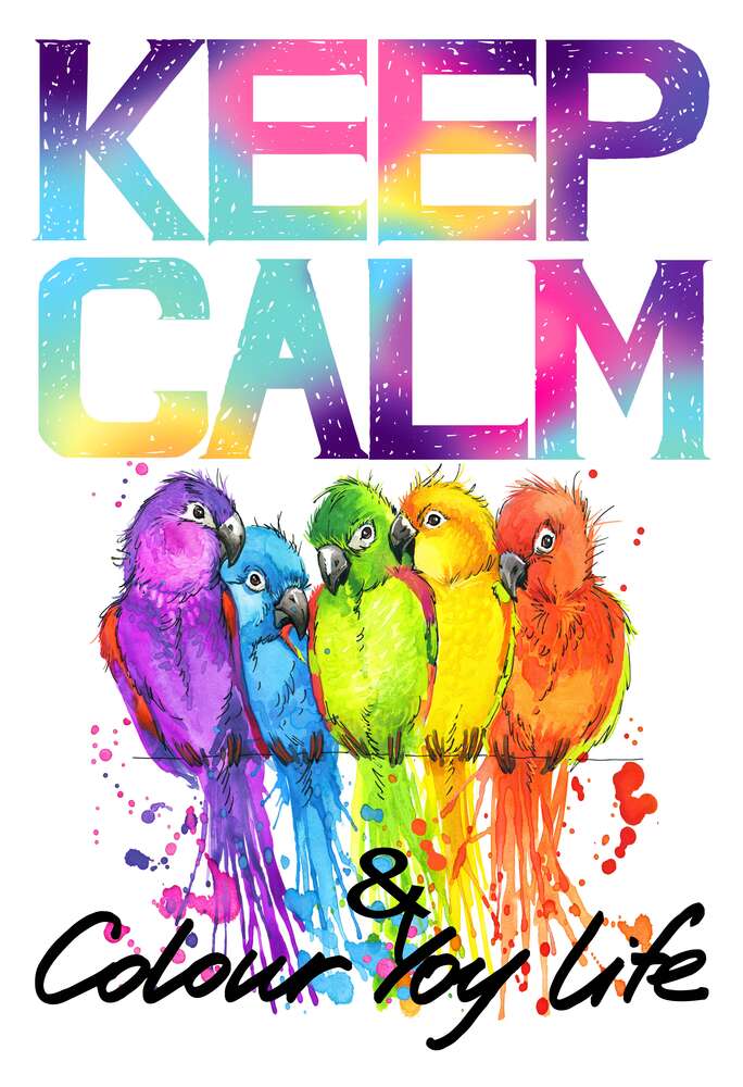 картина-постер Яркое оперение попугаев среди надписи "keep calm and colour your life"