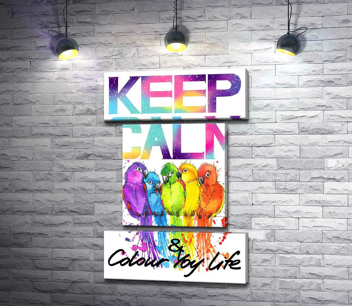 модульна картина Яскраве оперення папуг серед напису "keep calm and colour your life" (Модуль №18)