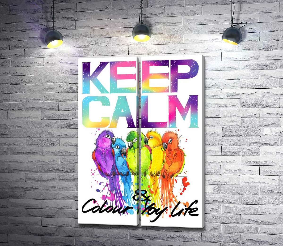 модульна картина Яскраве оперення папуг серед напису "keep calm and colour your life"