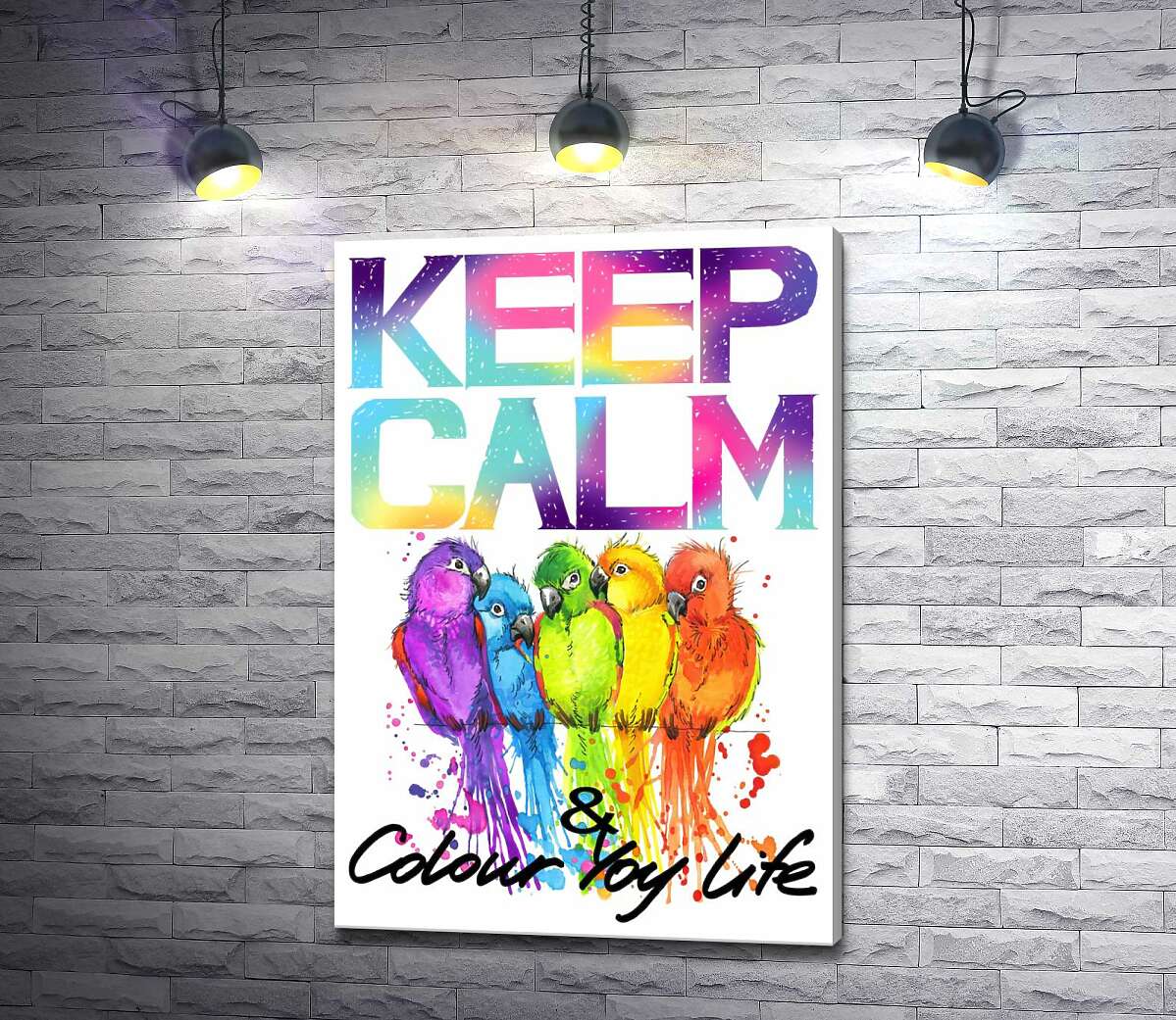 картина Яркое оперение попугаев среди надписи "keep calm and colour your life"