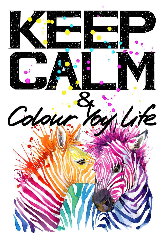 картина-постер Кольорові полоски зебр під написом "keep calm and colour your life"